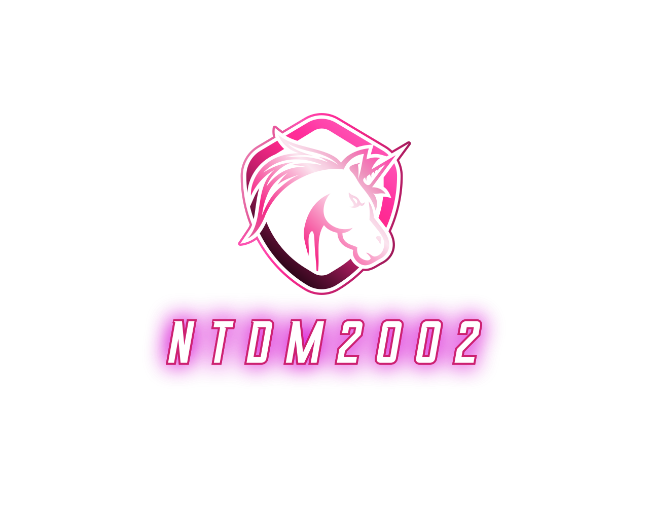 NTDM2002